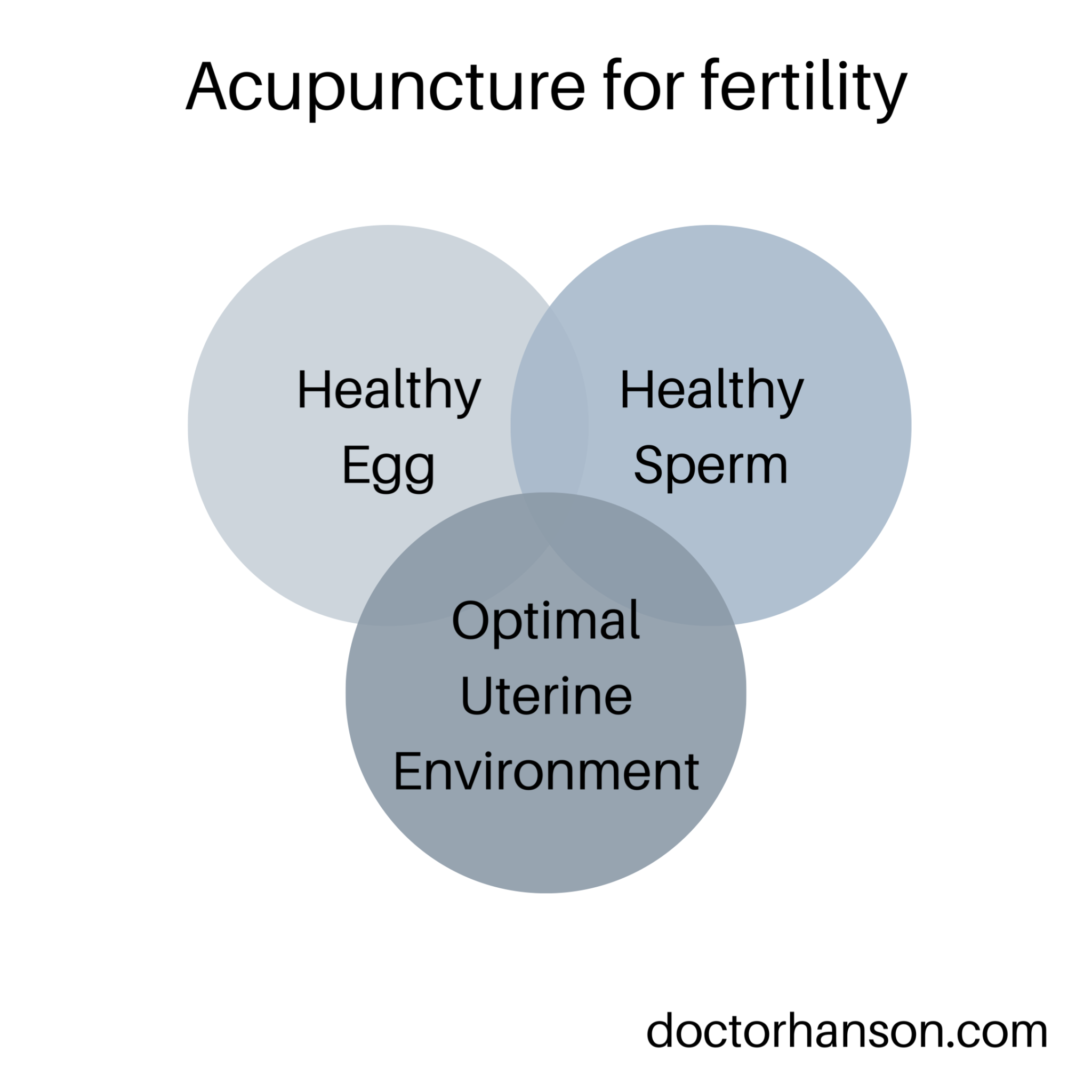 Optimizing your Fertility with Acupuncture in Tampa, FL