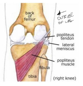 What causes your knee to lock up? Hint: It’s not the meniscus ...